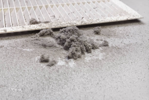 Best Professional Duct Cleaning Services  in Rion Center, MA