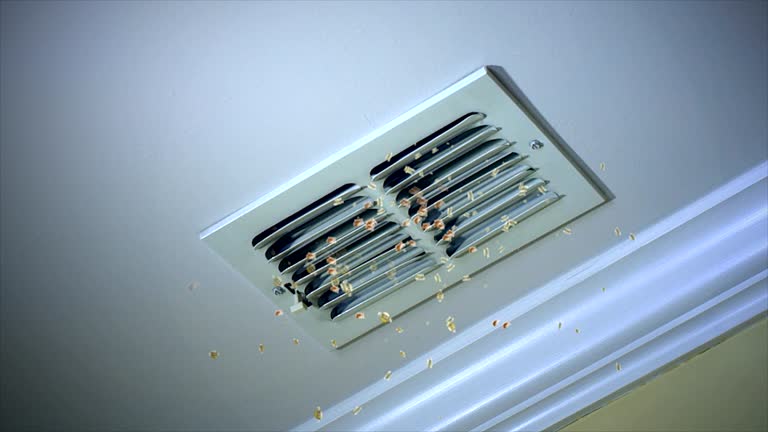 Best Air Duct Sanitizing Services  in Rion Center, MA