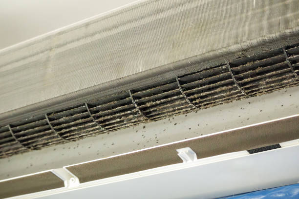 Best Affordable HVAC Duct Cleaning  in Rion Center, MA